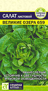 Салат Великие Озера-659 0,5 гр. Семена Алтая