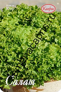 Салат листовой Илема Каприс (Нидерланды) 20 шт. по 10 шт.