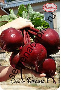 Свекла Бохан F1 Каприс (Нидерланды) 20 шт по 1,5 гр.