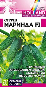 Огурец Маринда F1 5 шт. Seminis (Голландские Семена) Семена Алтая