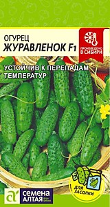 Огурец Журавленок F1 0,3 гр. Семена Алтая