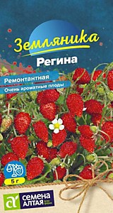 Земляника Регина ремонтантная 0,04 гр. Семена Алтая